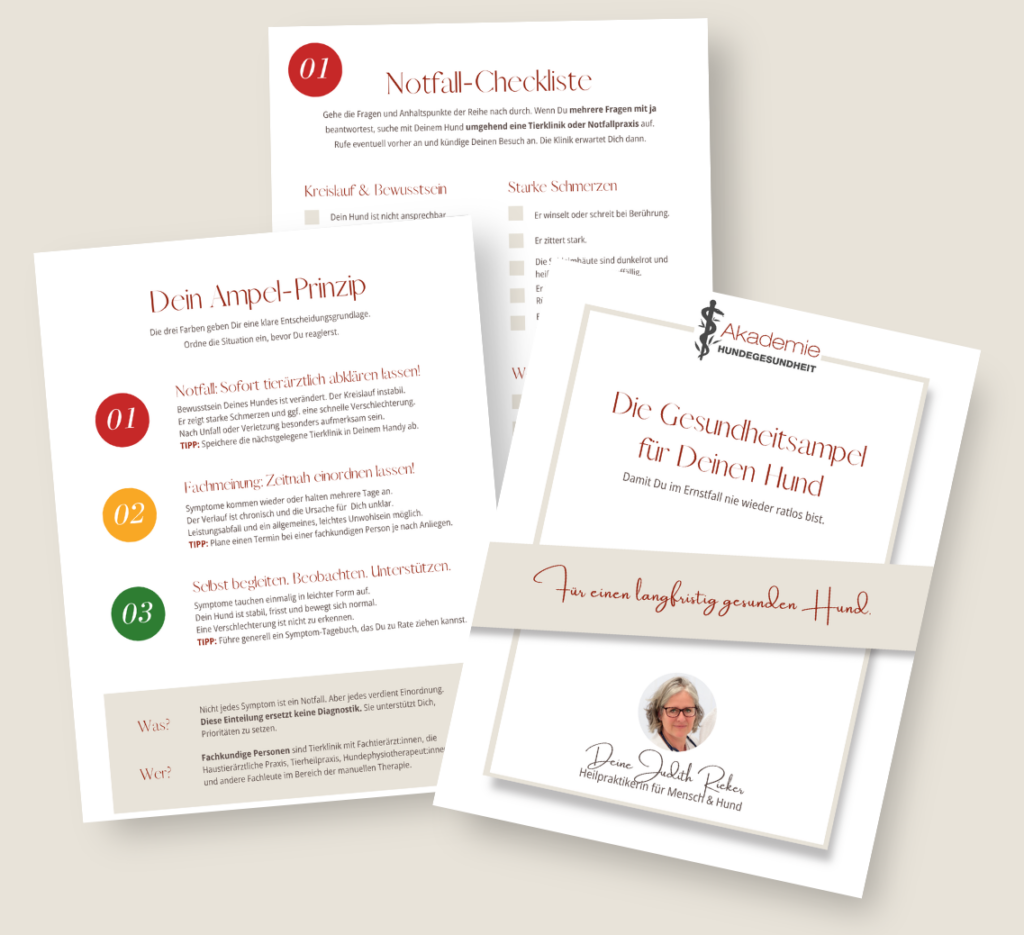 Mit der Gesundheitsampel erkennen Hundehalter:innen in Sekunden, was ihr Hund gerade braucht. Ohne Raten mehr oder schlechtes Gewissen. Klare Einordnung von Symptomen, damit Gesundheitsentscheidungen für den Hund sicher getroffen werden.