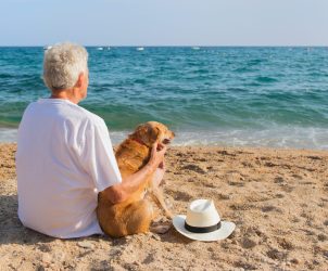 Longevity bei Deinem Hund Blogbeitrag von Judith Rieker, Heilpraktikerin für Mensch und Hund zu Longevity beim Hund