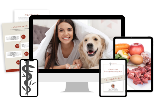 betreutes 3-Stufen-Online-Programm betreutes Online-Programm für Hundehalter:innen mit Hunden mit Futtermittelunverträglichkeit